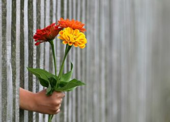 fina blommor
