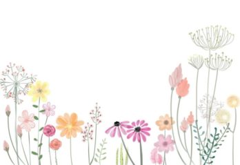 palettblad blomma