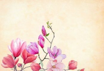 giftiga blommor